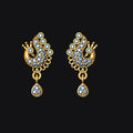 Pair of gold earrings with gemstones on a black background